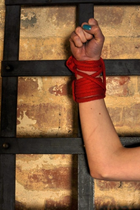 Naked girl is tied to iron lattice bars against a wall while ball gagged 91293462