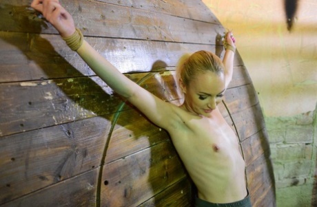 Blonde female Roxy Lee in affixed to wall and masturbated against her will 57685074